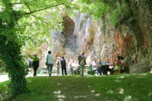 Kartepe Otobüs Saatleri