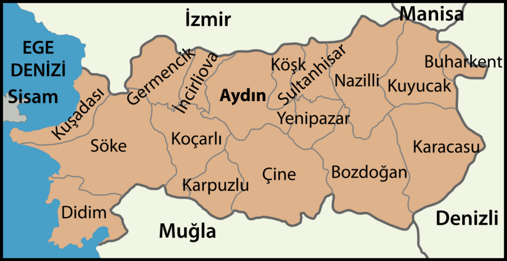Aydın